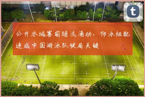 公开水域赛前暗流涌动，仰泳组配速成中国游泳队破局关键