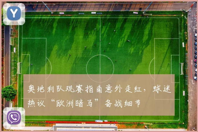 奥地利队观赛指南意外走红，球迷热议“欧洲暗马”备战细节