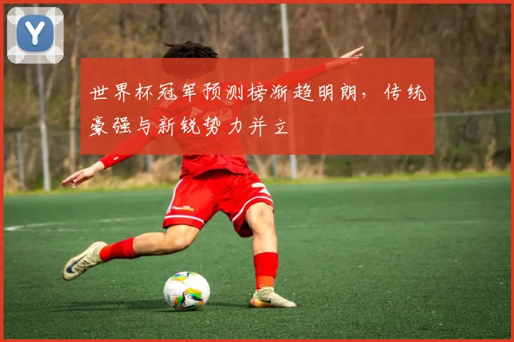 世界杯冠军预测榜渐趋明朗，传统豪强与新锐势力并立